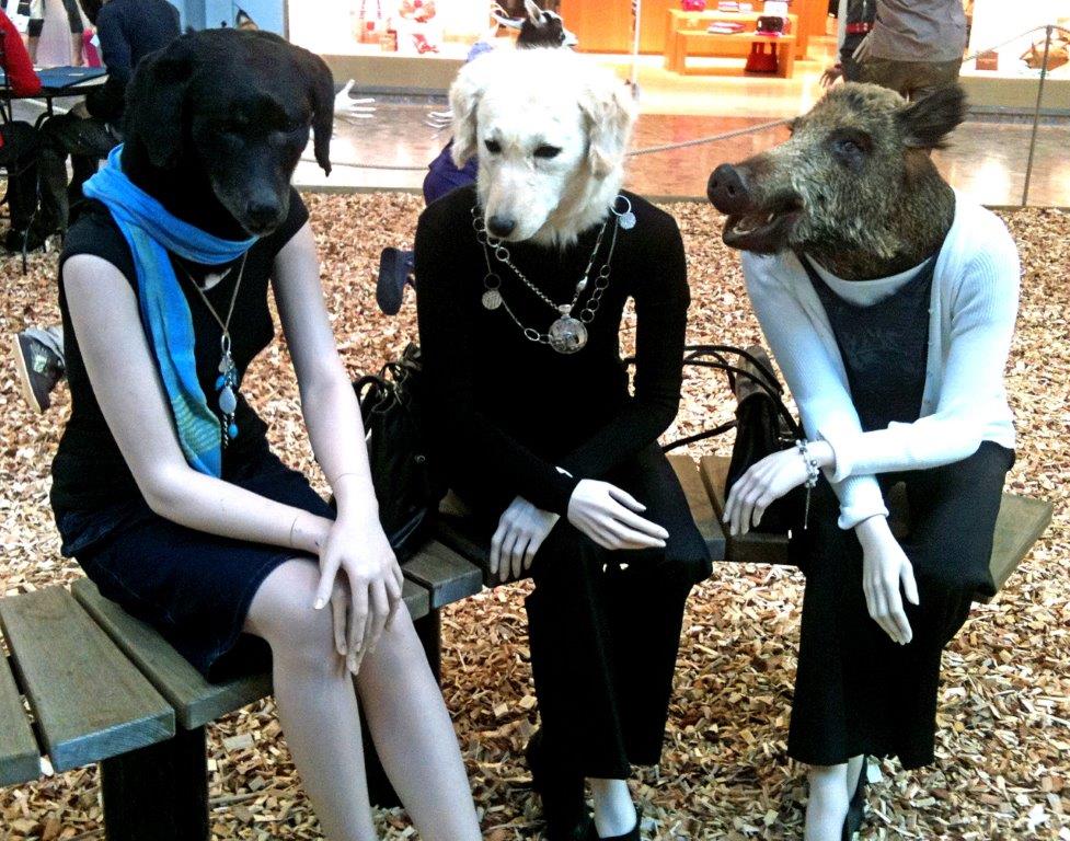 Discussing pet hates, Geneva (2011)
